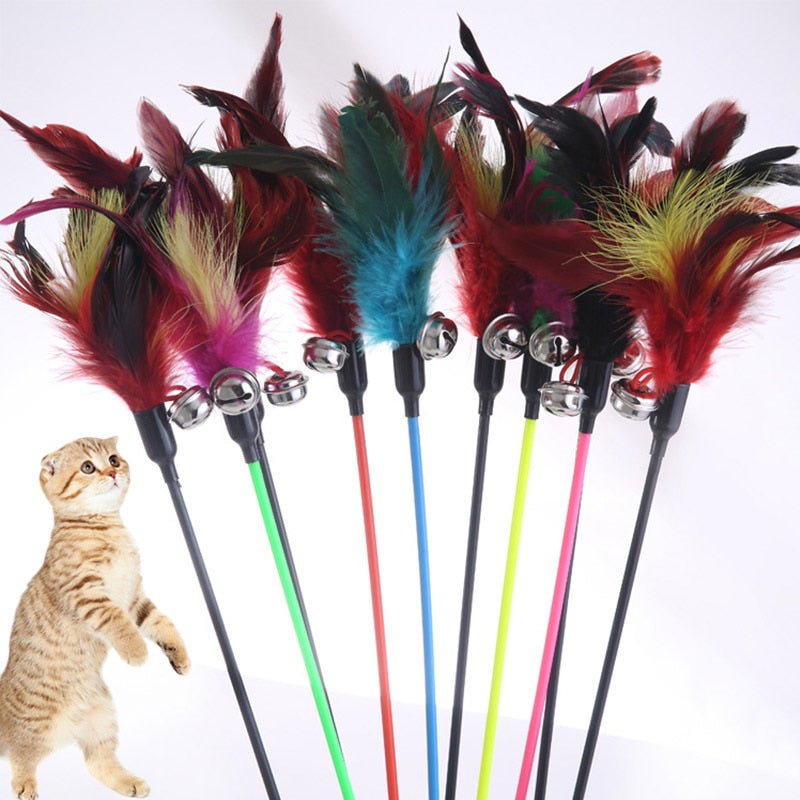 Cat Stick Feather Coloured Pole