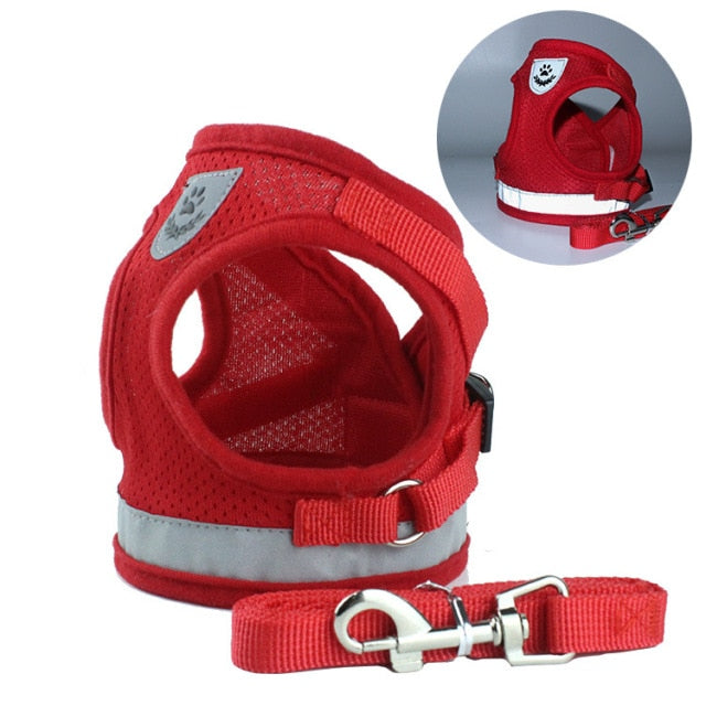 Breathable Outdoor Harness Set