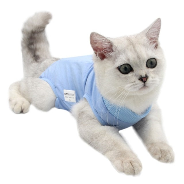 Cat Surgical Recovery Suits