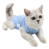 Cat Surgical Recovery Suits