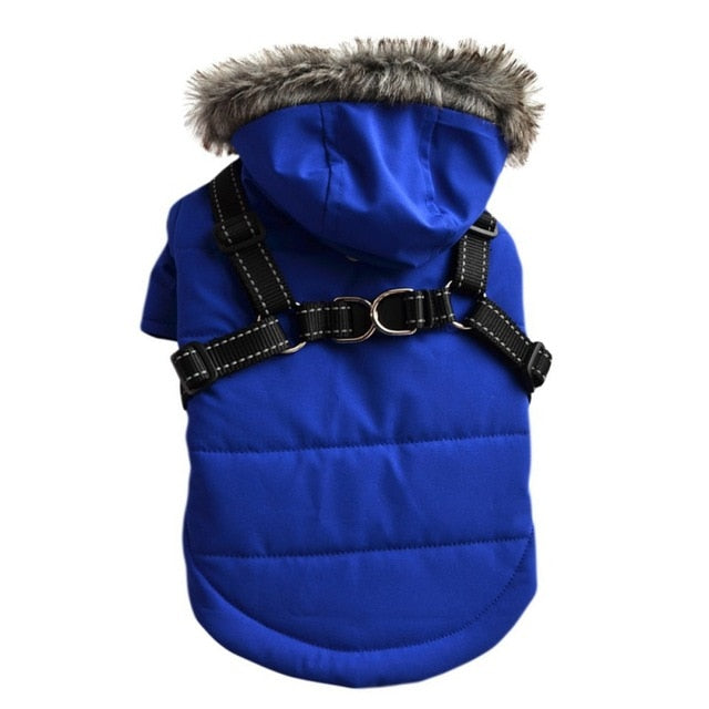 Winter Elegant Puppy Jacket