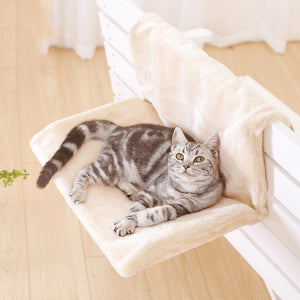 Cat Comfortable Lounge