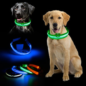 Luminous Safety LED Dog Collar
