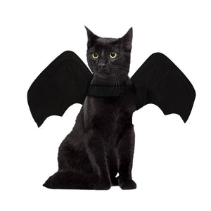 Cat Bat Wings Fancy Dress