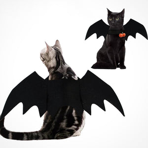 Cat Bat Wings Fancy Dress