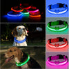 Luminous Safety LED Dog Collar