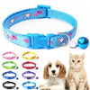 Colored Pet Supplies Cat Collar