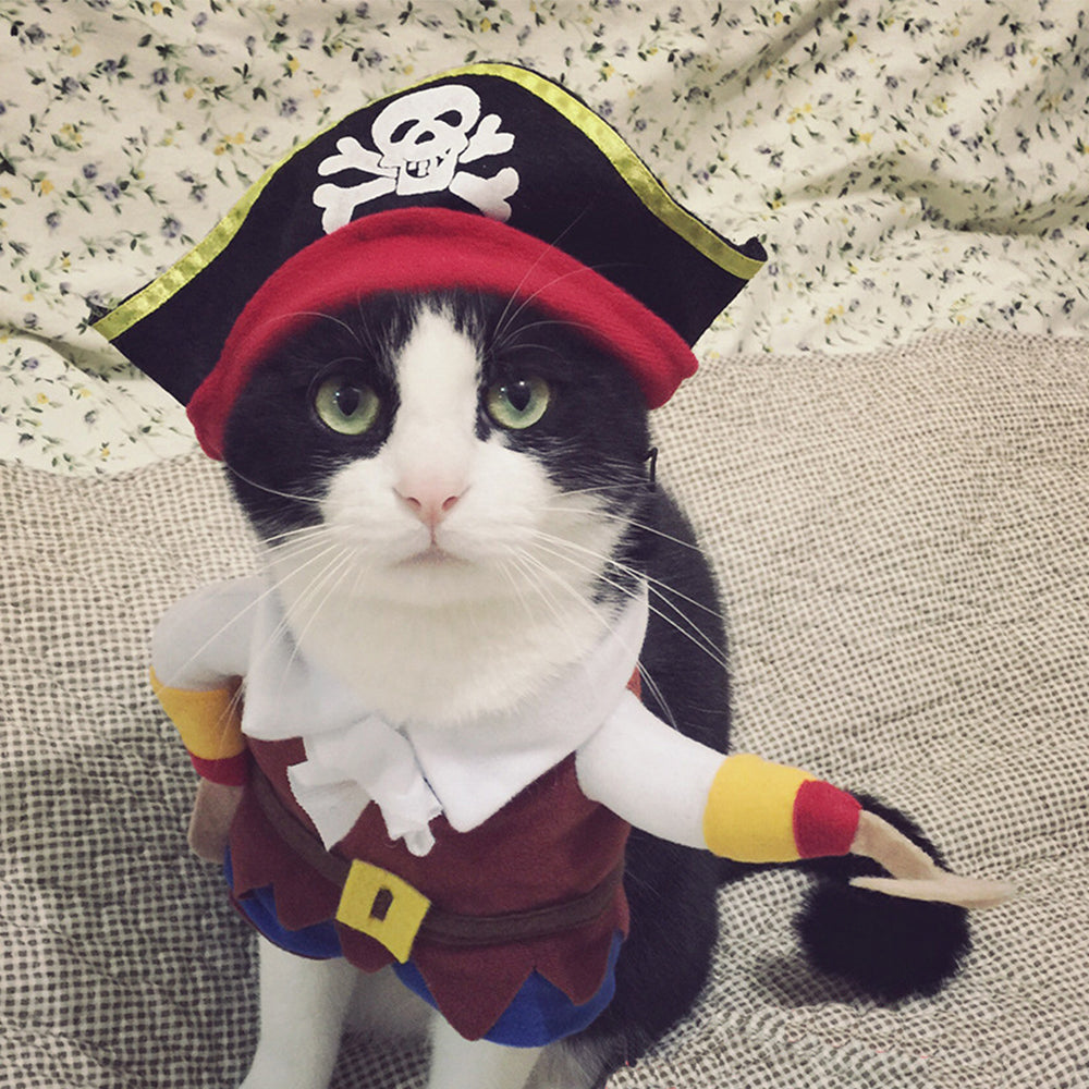 Cat Pirate Suit